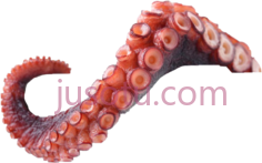 章鱼触角PNG