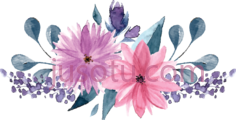 水彩花卉, PNG