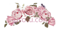 粉红花王冠,头饰 PNG