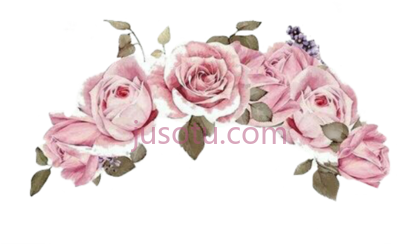 粉红花王冠,pink crown PNG