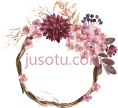 藤蔓花卉花环,色彩 PNG