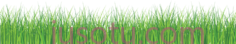 绿草PNG