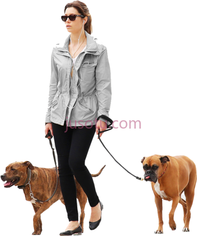人遛狗,dogs person walking PNG