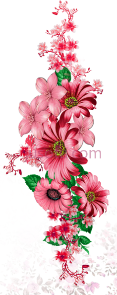 花,flower PNG