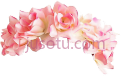 粉色花头带,flower PNG