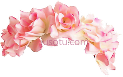 粉色花头带,headband pink PNG