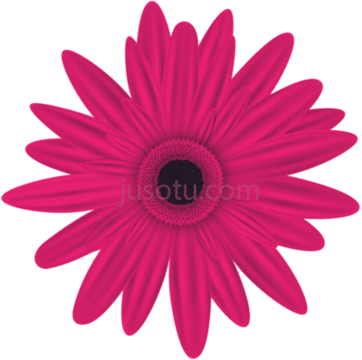 粉红色,pink PNG