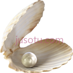 贝壳珍珠PNG