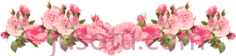 花PNG
