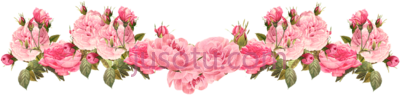 花,icons flower border clear PNG