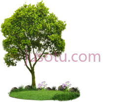 树木PNG