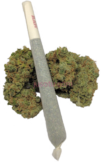 钝刀,trans part blunt sabre PNG