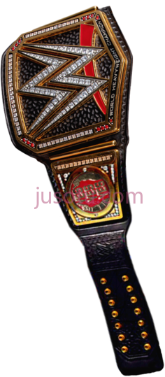 世界摔角娱乐PNG