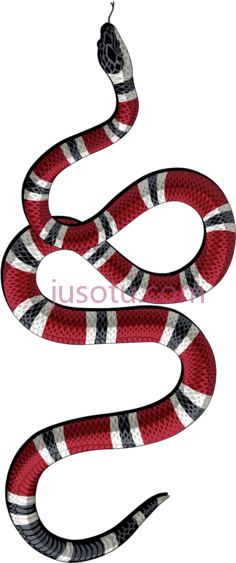 蛇PNG