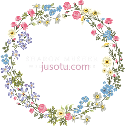 婚礼,sharon mesher wedding and florist in plymouth circle PNG