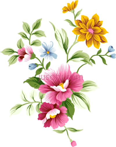 花卉,floralnouveau PNG