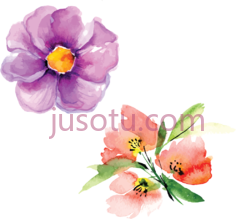 花朵花瓣水彩PNG