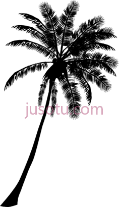 棕榈树木PNG