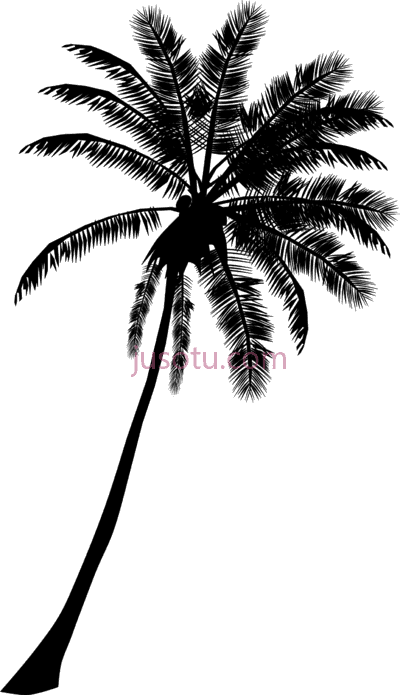 棕榈树木,palm banner black white PNG