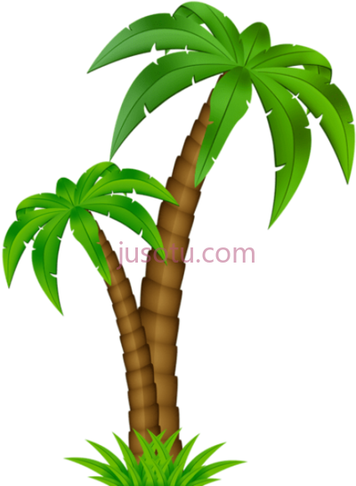 棕榈树,palm tree PNG