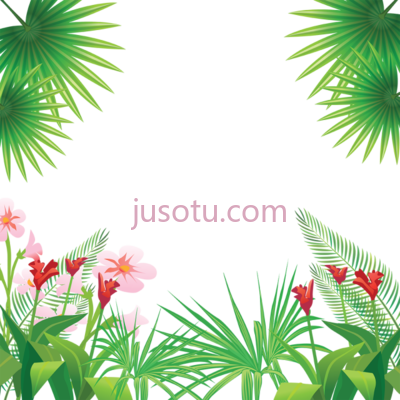 热带花,tropical leaves flowers PNG
