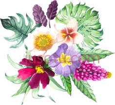 花卉水彩, PNG