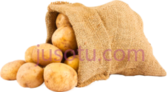 马铃薯袋PNG
