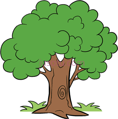 卡通树,tree PNG