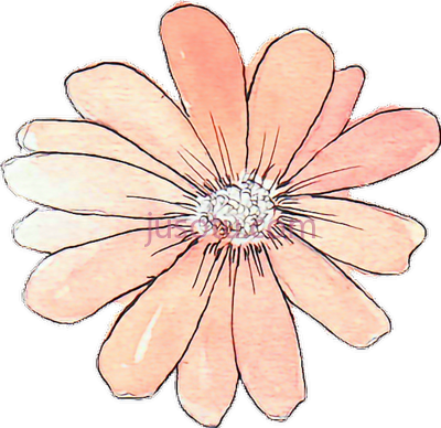 花,flower PNG