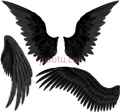 黑天使,black angel wings PNG