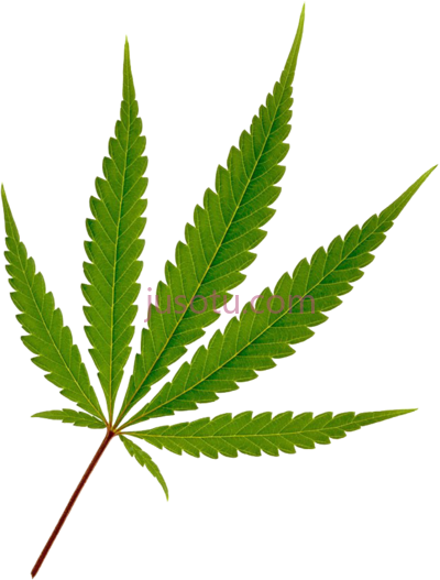 大麻叶,cannabis leaf marijuana PNG