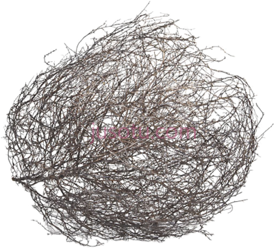 干树枝,tumbleweed layers PNG