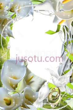 鲜花婚礼边框,frame PNG