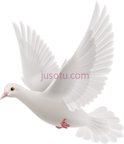 信鸽,letter PNG