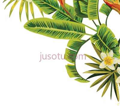 热带棕榈叶,tropical palm leaves PNG