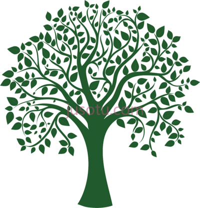 树,harrina consulting family tree PNG
