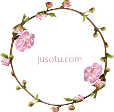 圆圈花架,collage arco balloon flower flor flores rosa floral frame circle PNG