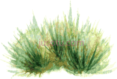 植物灌木,water painting plant shrub PNG