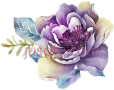 水彩玫瑰紫PNG