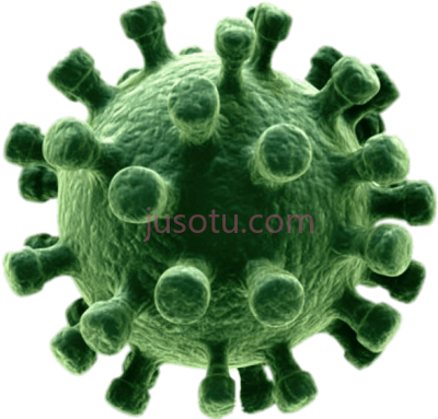 病毒,virus PNG