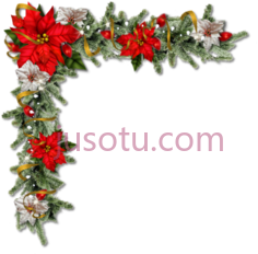 圣诞节花角PNG