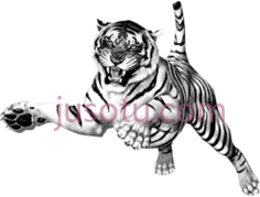 跳跃白虎PNG