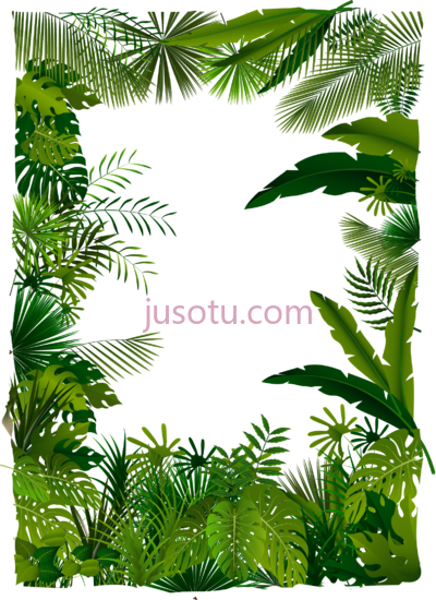 热带树叶边框,tropical euclidean forest PNG