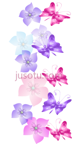 彩边花饰,蝴蝶 PNG