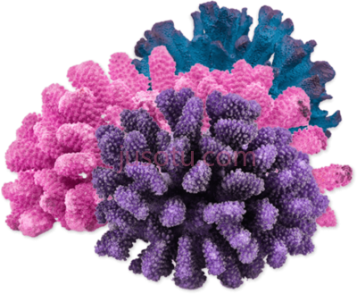 珊瑚,corals PNG