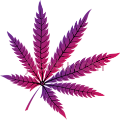 大麻叶PNG