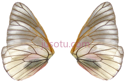 翅膀,share realistic fairy wings PNG