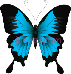蓝色蝴蝶PNG