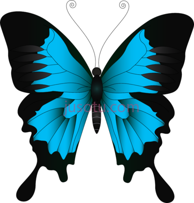 蓝色蝴蝶,blue PNG