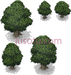 树木,植物,植被,草木 PNG